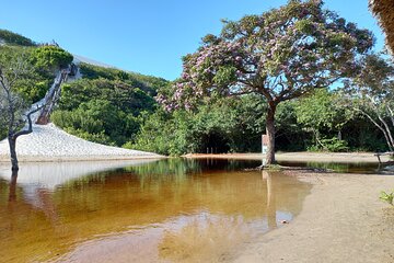 Ecological Trekking 1Day 20km by Costa Leste EcoAventura