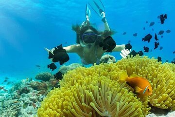 Private Snorkeling Experience at Blue Lagoon Beach