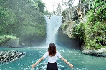 Ubud Day Tour: Sacred Monkey Forest, Tegenungan Waterfall, Rice Terrace