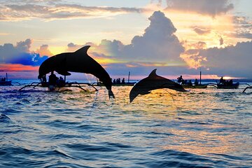 2 DAYS 1 NIGHT Tour To Lovina And Dolphin Watching (All Inclusive)