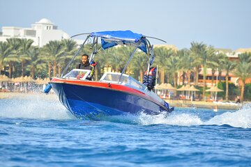 Private 4 Hours With DOLPHINS By a Speed Boat & Water activities - HURGHADA