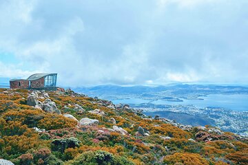 Shore Excursion-Hobart Wanderer