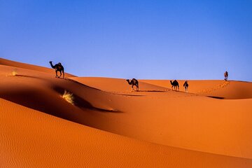 3 Days 2 Nights Desert Tour from Fes to Marrakech