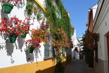 Historical Walking Tour of Estepona