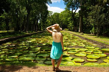 Half-Day Private Tour of North Mauritius with Pick Up