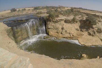  Cairo to Fayoum Oasis and Wadi Al Rian Tour