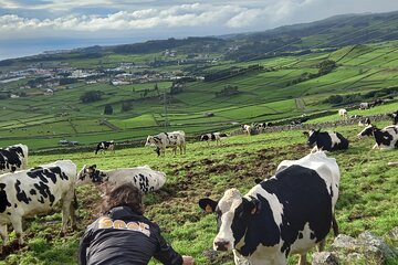 From Angra: Terceira Island Half-Day Tour (Shared Tour)