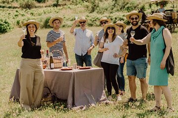 Private Champagne Day Trip to Vineyards of Reims with French Lunch from Paris 