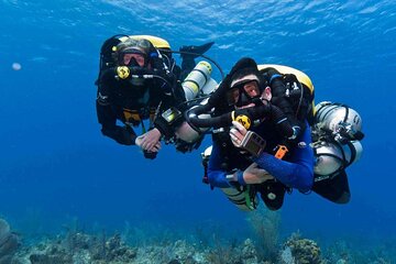 Ras Mohamed& White Island Snorkeling&1 Stop Diving Sharm ElShiekh