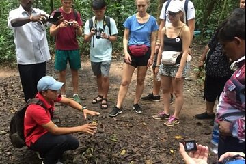 Vietnam: Cu Chi Tunnels Half Day Tour