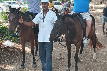 Private Horseback Riding From Falmouth 