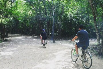 Mayan Jungle Adventure (Private, Full Day)