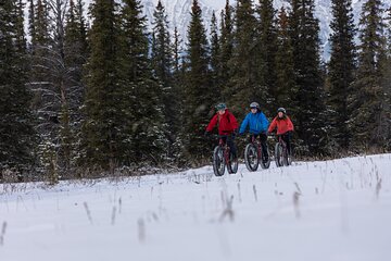 1-Hour Guided Group Fat Bike Tour