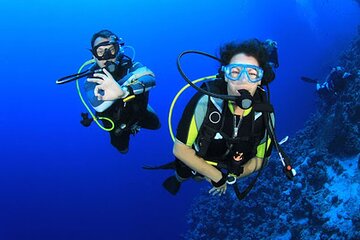 Intro Diving for Beginners in Hurghada with Pick-up and Lunch