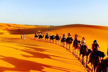 Enjoy 1 nights in Luxury berber tents , camel trek,sandboarding,ATV QUADS