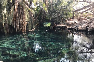 Overnight at Chemka Hotsprings 