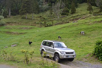 Half-Day Private Tour to Sete Cidades from Ponta Delgada