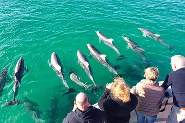 Kangaroo Island 75-Minute Coastal Safari