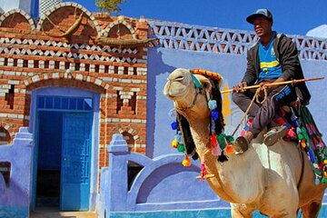 Trip To Nubian Village by motorboat From Aswan