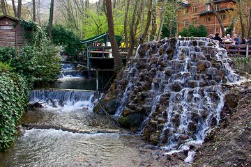 Daily Sapanca Lake & Masukiye Tour - Group Tour Basis