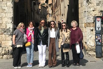 Full-Day Car Tour Siena San Gimignano and Chianti from Florence
