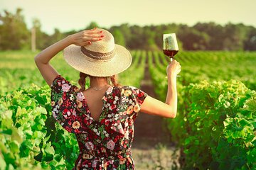 Ribera and Rioja Wineries Private Tour from Madrid