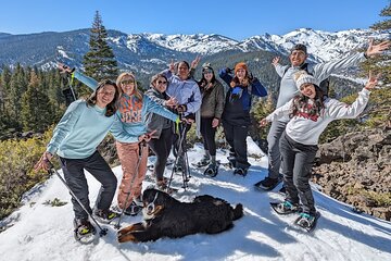 Half Day Snowshoe Hike in Tahoe National Forest