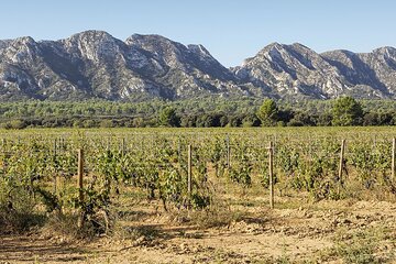 Les Baux de Provence : Wine day Tour : 8 hours 