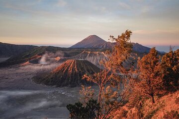 From Surabaya: Mount Bromo Sunrise Private Day Trip