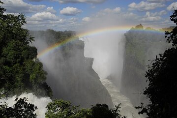 Private Guided Tour of Rain Forest Victoria Falls