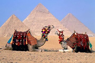 Full Day Cairo By Bus Pyramids Egyptian Museum from sharmelsheikh