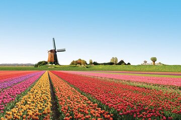 Full-Day Skip the Line Keukenhof and Canal Cruise from Amsterdam 