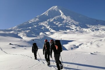 Guided ascent of Llaima volcano from Pucón