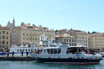 Marseille Driving and Walking- 4hour Private tour