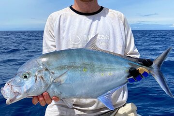 Afternoon Beach Fishing Trip in Hawaii