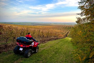  Private ATV Adventures in Petrovaselo