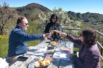 Prosecco Wine Tasting. Visit Treviso. From Venice 