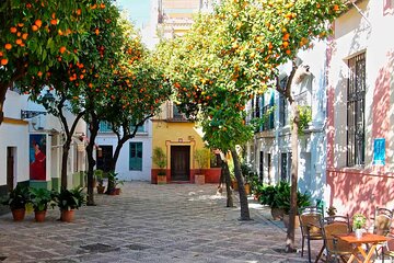 Guided walking tour of the Barrio de Santa Cruz