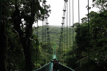 Shared Shuttle Tamarindo to Monteverde