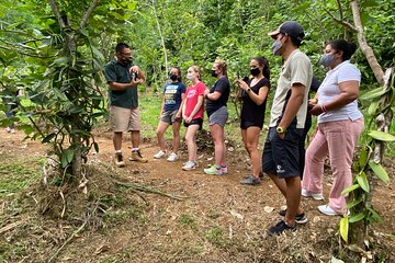 Chocolate, Vanilla, Coffee & Spice guided tour