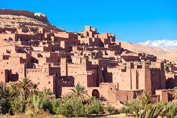 Day Trip to Atlas Mountain Top with Camel Ride from Marrakech