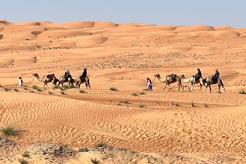 Desert Safari Wahiba Sands, Wadi Bani Khalid Hiking from Muscat