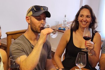 BA: Premium Argentinian Wines and Malbec Tasting in Palermo
