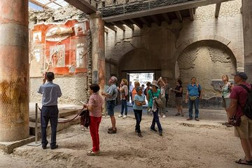 Transfer from Sorrento to Naples with Private Tour in Herculaneum