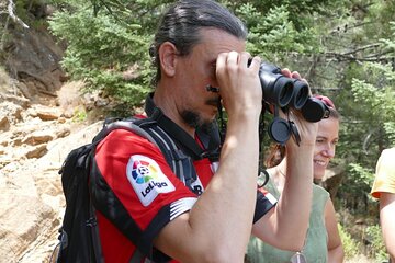 Birding Costa del Sol Day tour