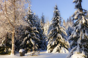 Christmas Charms of Manchester - Private Walking Tour