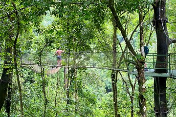 Rainmaker Park Adventure Tour