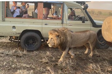 3 Days Masai Mara Jeep Safari 