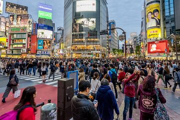 Tokyo 7-Hour Free Choice Tour