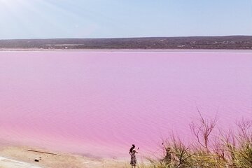 2 day Pink Lake and Kalbarri Tour